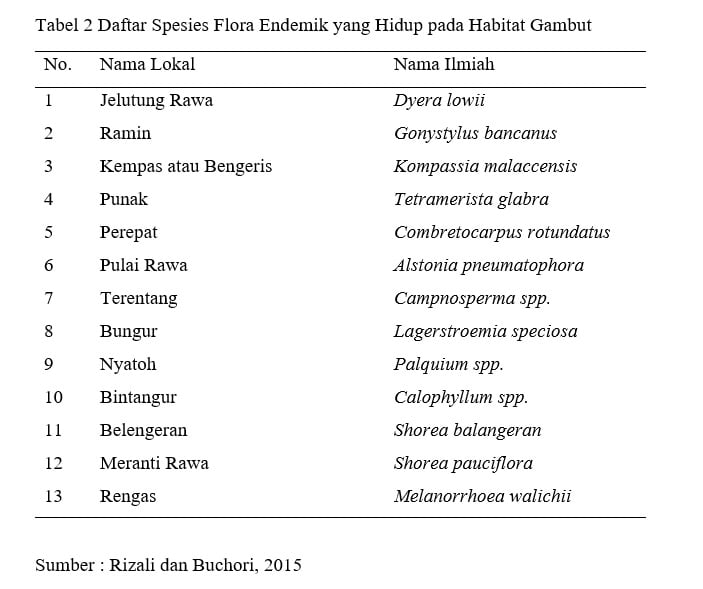Daftar Spesies Flora Endemik yang Hidup pada Habitat Gambut