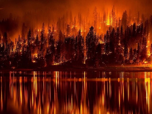 kebakaran hutan di indonesia