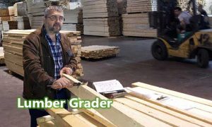 Ahli Penilaian Kualitas Sortimen Kayu (Lumber Grader)