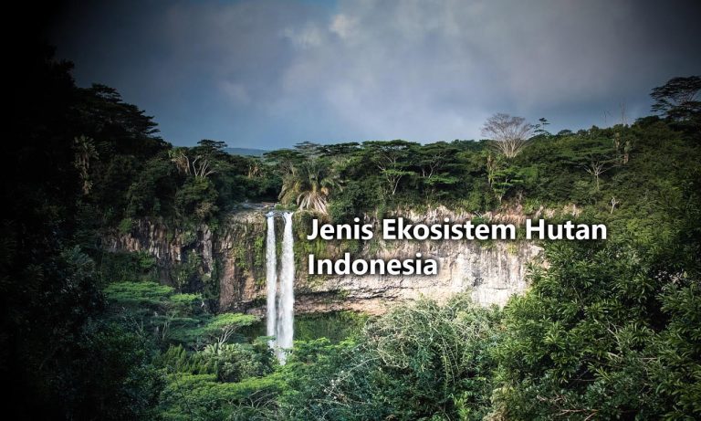 Jenis Ekosistem Hutan Indonesia