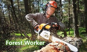 Pekerja Teknis Kehutanan (Forest Worker)