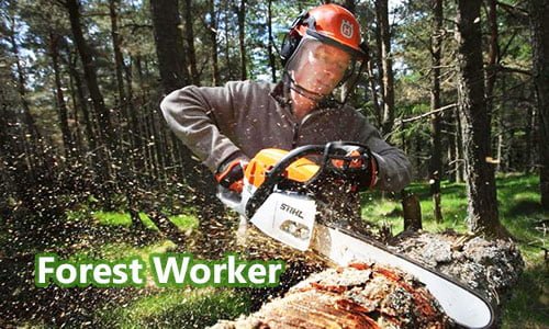 Pekerja Teknis Kehutanan (Forest Worker)