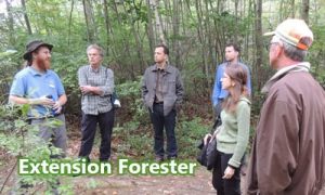 Penyuluh Kehutanan (Extension Forester)