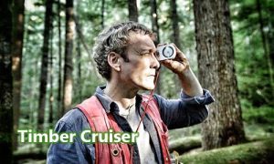 Tenaga Inventarisasi Hutan (Timber Cruiser)