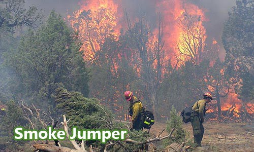 Tenaga Penerjun pada Kebakaran Hutan (Smoke Jumper)