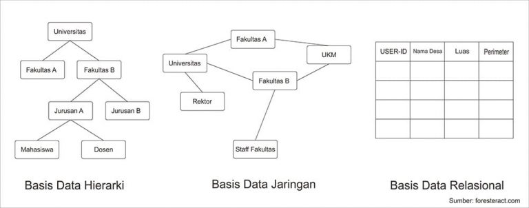 Model Basis Data 5047
