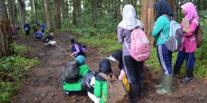 Jurusan Manajemen Hutan di Indonesia