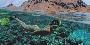 Snorkling di Lautan Pulau Komodo