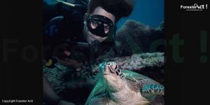 Menyelam bersama kura-kura di dalam laut dengan terumbu karang yang masih menawan
