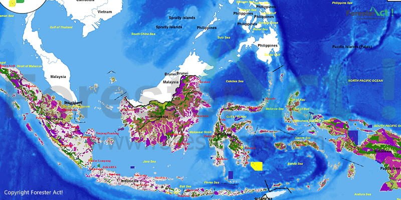 Peta Hutan Indonesia