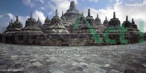 Candi Borobudur menjadi Salah Satu View dari Punthuk Setumbu