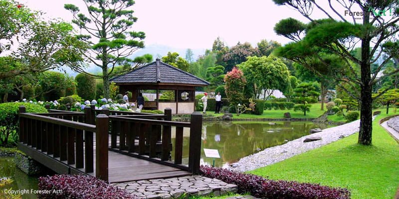 Taman Gaya Jepang di Taman Bunga Nusantara
