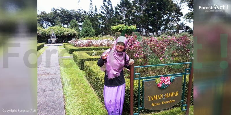 Taman Mawar Taman Bunga Nusantara