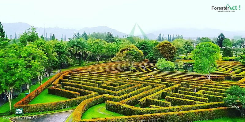 Taman Rahasia di Taman Bunga Nusantara