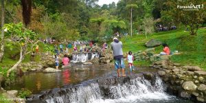 Curug Kecil di Kebun Raya Cibodas