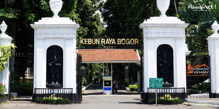 Jalan di Kebun Raya Bogor (KRB)