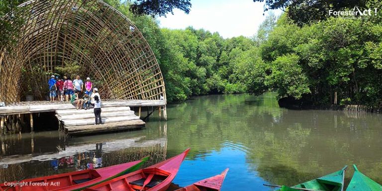 Tempat Ciamik untuk Foto Unik di Taman Wisata Alam Angke Kapuk