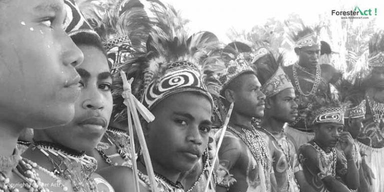 Masyarakat Adat di Papua