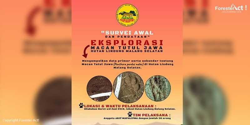 Eksplorasi Macan Tutul Jawa