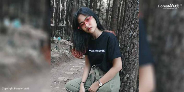 Pohon Pinus menjadi Latar yang Bagus untuk Foto