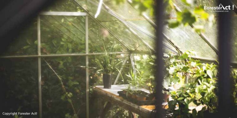 Analogi greenhouse sebagai prinsip efek rumah kaca