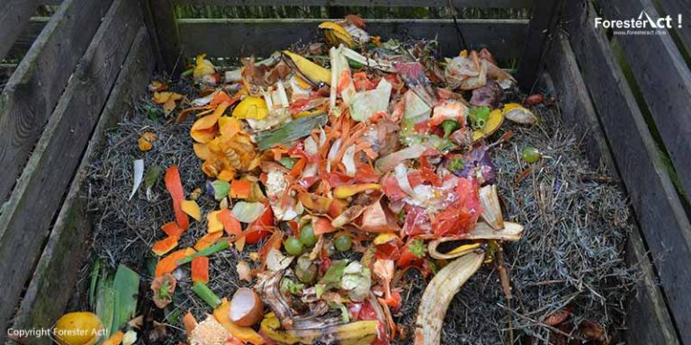 Sampah organik sebagai bahan baku pupuk kompos