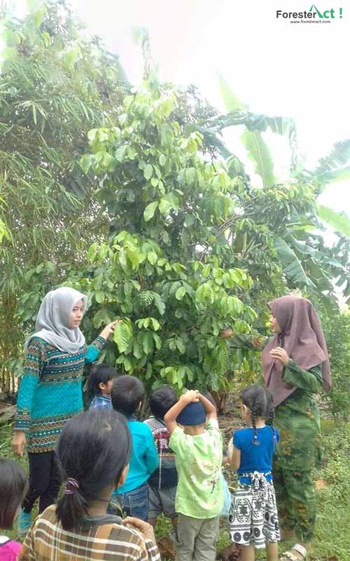 Sekolah Adat Telangkai dari Pengurus Harian Komunitas Menteng, Sumatera Utara (Sumber Dokumentasi Perempuan AMAN)
