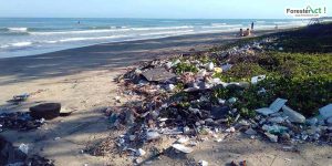 Sampah yang terjebak di pantai (pixabay.com)