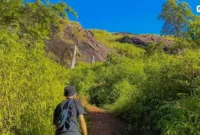 Jalan Menuju Puncak Bukit Lahat