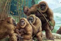 Gigantopithecus